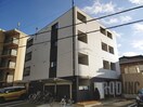  ブルーベル