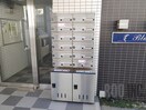  ブルーベル