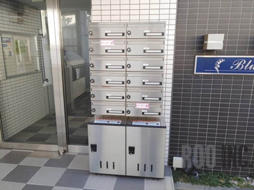  ブルーベル