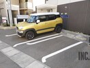  ブルーベル