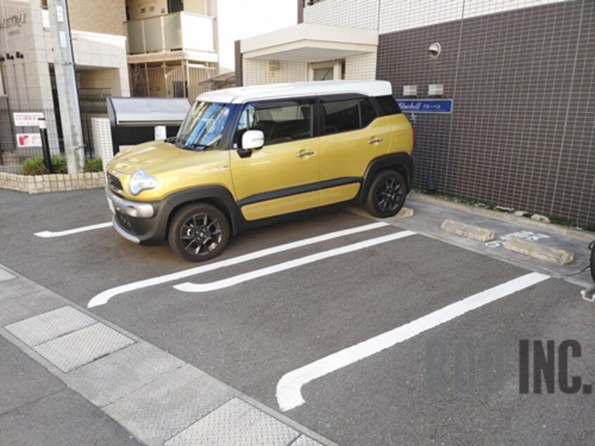  ブルーベル