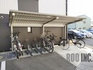  ブルーベル