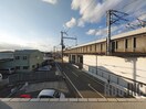  ブルーベル