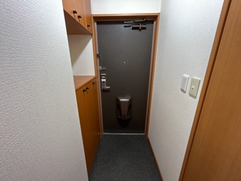  プランドール