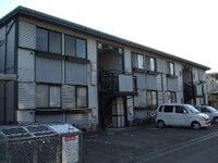 サンライフサルビア