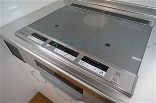  plant Villege上野田