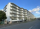 第8恵美酒マンションの外観
