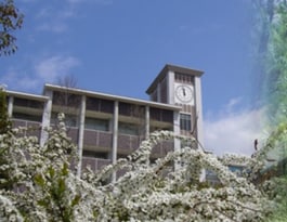 白陵中学・高等学校　体育館