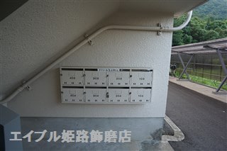  クローバー広畑才