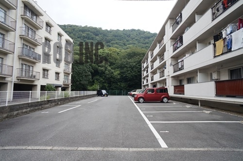  クローバー広畑才