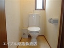  サンフラワー