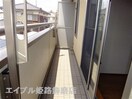  サンフラワー