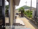  サンフラワー