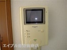  サンフラワー