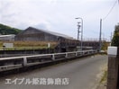  サンフラワー
