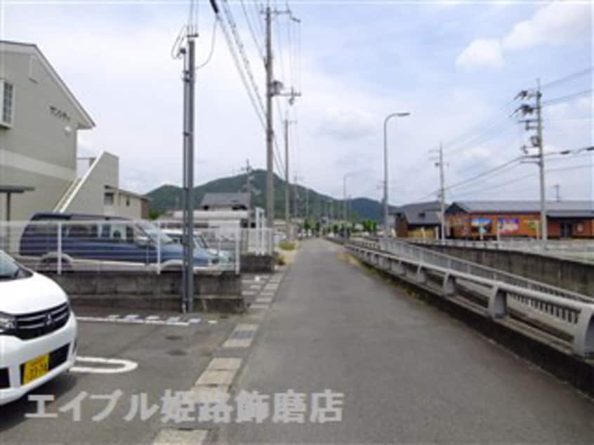  サンフラワー