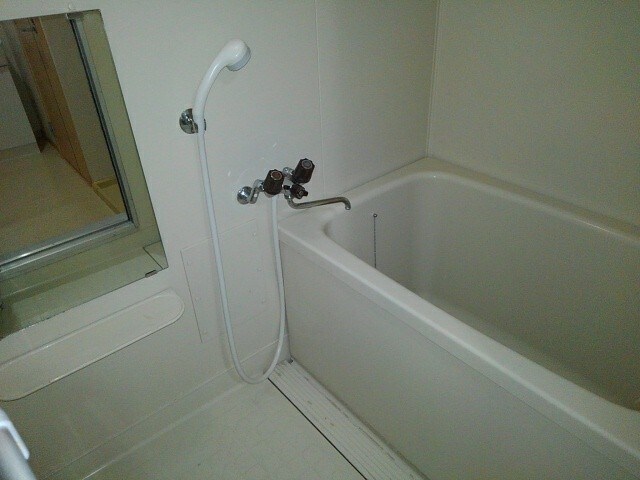  ブルーマウンテン