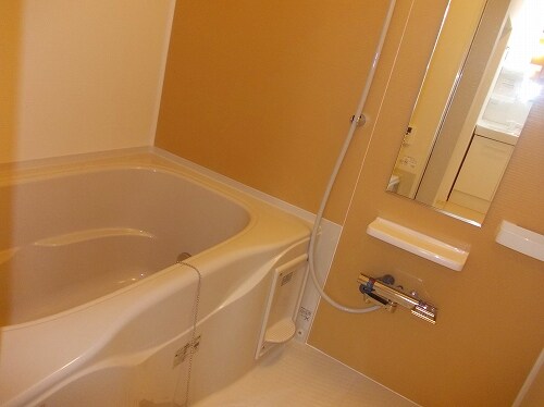  フォーチュナリー・コックスⅡ