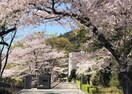 高等学校/高等専門学校まで1238m※姫路市立琴丘高等学校 西今宿戸建