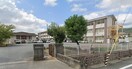 中学校/中等教育学校まで1700m※加西市立北条中学校 グレイスフル弐番館