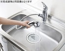  ラシュレ白浜