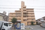 ファルネーゼ鵤