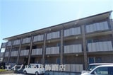 ロータス コート