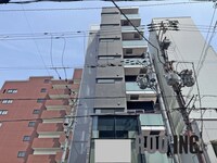 ＳＴＥＬＬＡ　白銀