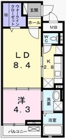 グランシャリオ 1LDKの間取り