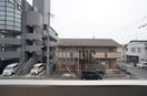  ラ・レガッタ都
