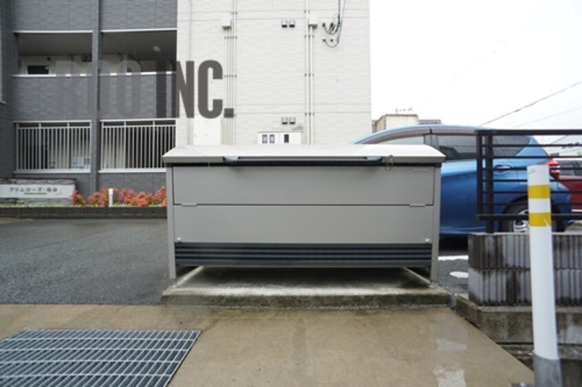  プリムローズ・佳音