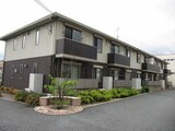 シュシュ　しらかし