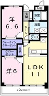 グレイス・セイバリー 2LDKの間取り