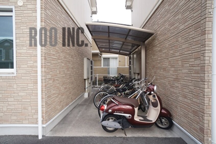  bouleau blanc（ブーロブラン）