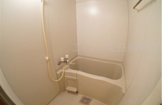 写真は反転のお部屋です ダンデライオン