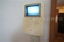 写真は反転のお部屋です ダンデライオン