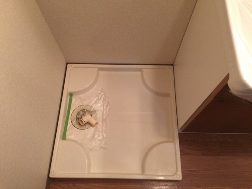 写真は反転のお部屋です ダンデライオン