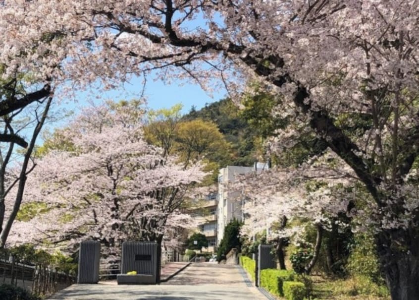 高等学校/高等専門学校まで1100m※姫路市立琴丘高等学校 グリーンヒル今宿