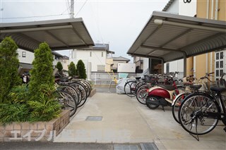  ココアガーデン