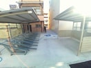  Ａｍｅｎｉｔｙ　Ｗｅｓｔ