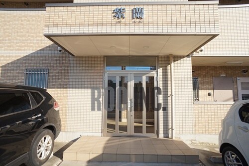  紫蘭（しらら）