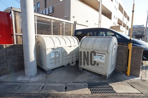  紫蘭（しらら）