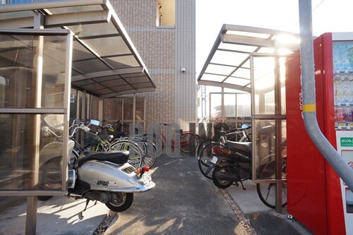  紫蘭（しらら）