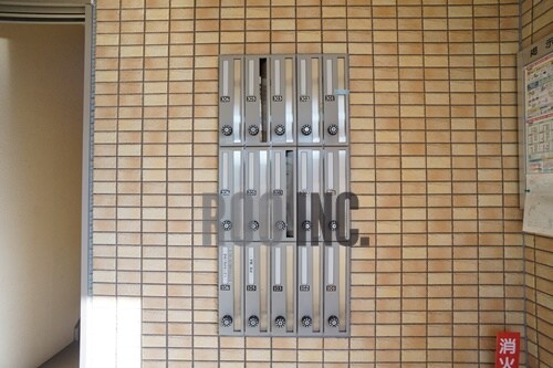  紫蘭（しらら）