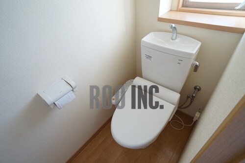  紫蘭（しらら）