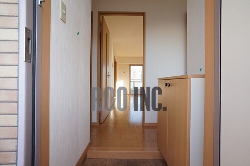  紫蘭（しらら）