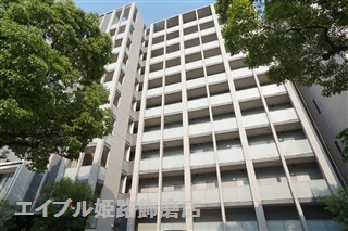  パレー ブランシェ