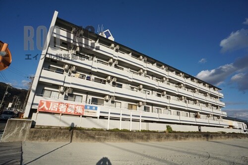  ウイングス北平野