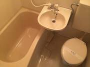  ウイングス北平野