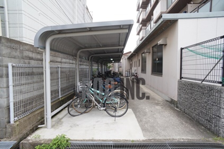  ロッキーコートナカヤ